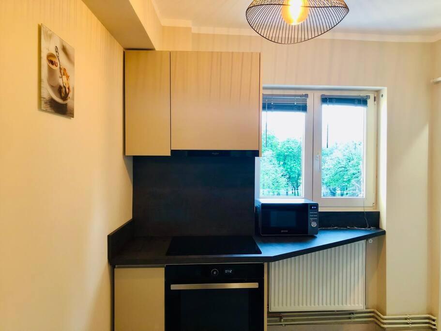Joy City Stay Victoriei 7G-13 Timișoara Zewnętrze zdjęcie